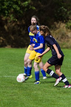 Bild 331 - Frauen TSV Gnutz - SG S�lfeld/Oe/Se/Stu : Ergebnis: 2:3
